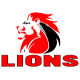 Lions Rugby Jerseys & Gear – Replica Kits with Discounts