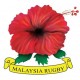 Malaysia Rugby Jerseys – Replica Quality & Special Offer