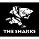 Sharks Rugby Jerseys & Gear – Complete Replica Kits on Sale