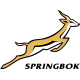 Springboks National Rugby Jerseys – Replica Kits Sale