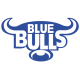 Vodacom Bulls Rugby Jerseys – Replica Kits on Sale