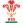 Wales National Rugby Team