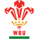 Wales National Rugby Team Official Jerseys – Limited Time Sale