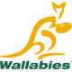 Australia Wallabies Rugby Jerseys – Official Replica Kits with Limited-Time Discounts