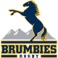 ACT Brumbies