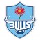 Bulls