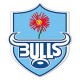 Bulls Rugby Jerseys