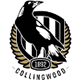 Collingwood Magpies Jerseys