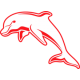 Shop Dolphins Rugby Jerseys & Gear – Limited Offers