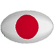 Japan Rugby Jerseys – Replica Quality & Flash Sale