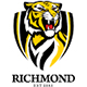 Richmond Tigers Rugby Jerseys