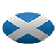 Scotland Rugby