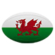 Wales National Rugby