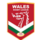 Wales National Rugby League Team