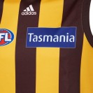 Hawthorn Hawks 2020 Mens Home Guernsey