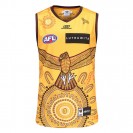 Hawthorn Hawks 2023 Indigenous Guernsey – Authentic AFL Heritage Jersey