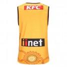 Hawthorn Hawks 2023 Indigenous Guernsey – Authentic AFL Heritage Jersey