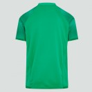 Ireland Rugby Jersey 2022-23 | Men's Vapodri Pro Shirt by Canterbury