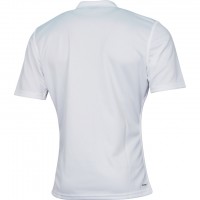All Blacks 2015 Men's Alternate Jersey