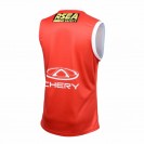 St Kilda Stickman Guernsey 2024 – Official Onfield AFL Jersey