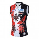 St Kilda Saints 2025 Mens Indigenous Guernsey - Show Your Support