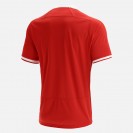 Maillot Domicile Rugby Gallois 2021-22 – Réplique Officielle et Vêtements Supporters