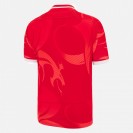 Maillot rugby Welsh 2022-23 | Officiel Jeux du Commonwealth